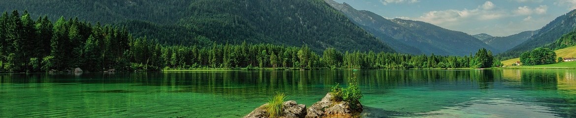 banner 1